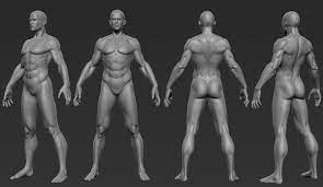 I still learn about anatomy too. Male Anatomy Study By Sinkunarts On Deviantart