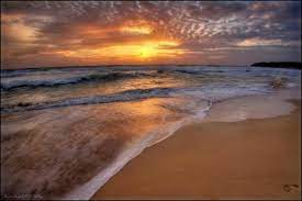 esfera viva beach scenery i love the beach