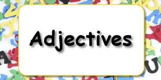 Berikut beberapa gambar sayuran dalam bahasa inggris yang saya ambil dari vocabulary.cl. 400 Kata Sifat Dalam Bahasa Inggris Lengkap Beserta Artinya Dream Co Id