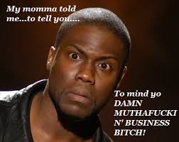 Kevin Hart Funny Quotes Kevin Hart Funny Quotes Kevin Hart Funny Kevin Hart Seriously Funny
