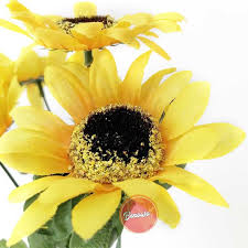 Beli benih bunga matahari online berkualitas dengan harga murah terbaru 2021 di tokopedia! Harga Bunga Matahari Terbaik Dekorasi Perlengkapan Rumah Juni 2021 Shopee Indonesia