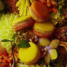 Macaron Jardin Pamplemousse Pierre Herme Macaron Pierre Herme Et Recette Macaron