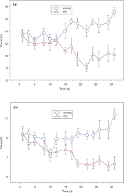 The walls of the alimentary canal contain muscle tissue. Chronic Exposure To Stretch Shortening Contractions Results In Skeletal Muscle Adaptation In Young Rats And Maladaptation In Old Rats