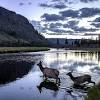 Under canvas yellowstone offers upscale accommodations and activities near yellowstone national park. Https Encrypted Tbn0 Gstatic Com Images Q Tbn And9gcsjmetgg6lbfougocdv Zdpnxt9ri1tvim Dcyxqad1rykf4e9r Usqp Cau