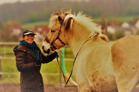 Postleitzahlengebiet 7 Archive