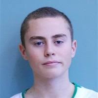 Andrew Sahl's Roosevelt High School Bio