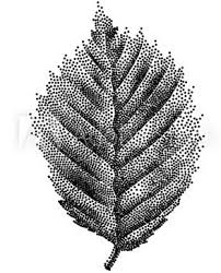 We did not find results for: 7 Unsur Seni Rupa Penjelasan Lengkap Pelajarindo Com