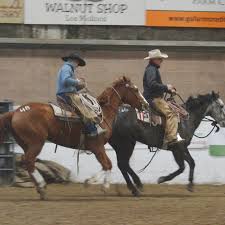 Recap of the 78th Red Bluff Bull and Gelding Sale