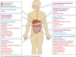 Gastroenteritis (gastro) is an infection of the gut that can cause diarrhoea and vomiting. Proteus Spp As Putative Gastrointestinal Pathogens Clinical Microbiology Reviews
