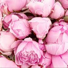 Pin On Wedding Flowers