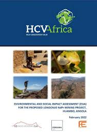 Image result for Dissotis anchietae