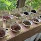 Tea Workshop at Nelles Manor Museum event image