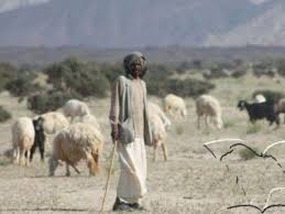 Maybe you would like to learn more about one of these? Ø±Ø§Ø¹ Ø³ÙˆØ¯Ø§Ù†ÙŠ ÙŠØªØ­ÙˆÙ„ Ù„Ù†Ø¬Ù… ÙˆØ§Ù„Ù…Ø·Ø§Ø± ÙŠØºØµ Ø¨Ù…Ø³ØªÙ‚Ø¨Ù„ÙŠÙ‡ ØµÙˆØ± Ø§Ù„Ù…Ø¯ÙŠÙ†Ø© Ù†ÙŠÙˆØ²