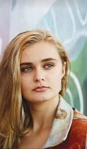 School District of Niagara