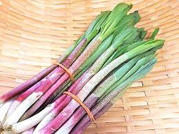 行者ニンニクの食べ方 保存方法は 生でそのままもok 炒め物やてんぷら 醤油漬けもおすすめ 暮らしにいいこと