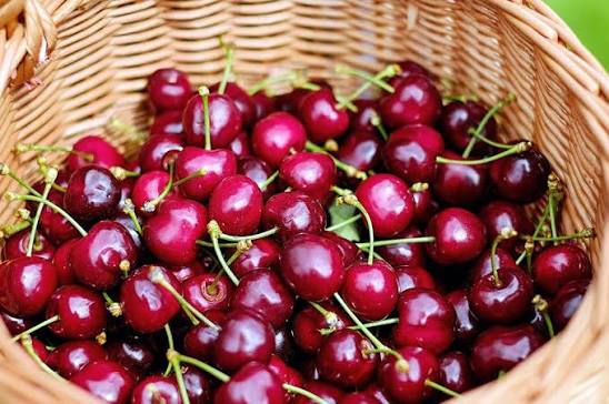Sour cherry – the taste of the summer - Study In Hungary