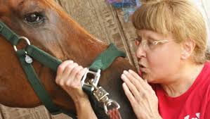 Photos: Hidden Acres Rescue for Thoroughbred horses