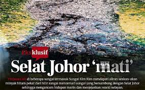 Kegiatan pembuangan sampah dari kawasan perumahan di sepanjang sungai, tepi tasik dan laut merupakan antara punca utama pencemaran sungai di malaysia selain aktiviti industri, kilang memproses getah dan minyak kelapa sawit juga menjadi punca kepada pencemaran ini. Pencemaran Bunuh Selat Johor