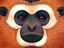 Grumpy Gibbon Monkey Illustration Animal Illustration Gibbon