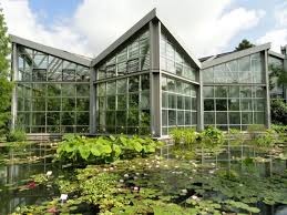 Palmengarten Un Paraiso Verde Entre Los Rascacielos De Frankfurt Viktorianische Gewachshauser Palmengarten Botanischer Garten