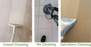 Free inspection and quotes, servicing wide bay. Valet Carpet Care Valet Carpetcare Best Carpet Cleaning Service Maryborough And Herbey Bay
