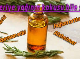 Biberiye Yagi Kokusu Nun Mucizevi Faydalari Yag Aromaterapi Bitki