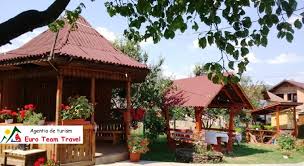 Cine poate primi si folosi tichete/vouchere de vacanta? Pensiunea Teleptean Maramures 5 Nopti Demipensiune Pret 750 Lei Pers