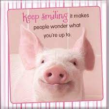 A pig may whistle, though it has a bad mouth for it. Keep Smiling Pigs Quote Pig Quotes Funny Baby Pigs