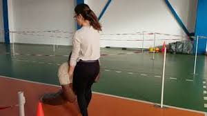 Proba sportivă destinată fetelor pentru admiterea la academia de poliție, în bucurești, vineri 28 iulie 2017. Traseu Utilitar Proba Sportiva Admitere Mai Academia De Politie Si Scoala De Subofiteri Youtube