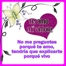 Frases Bonitas Para Poner En Whatsapp Imagenes De Amor Gratis Imagenes De Amor Versos De Amor