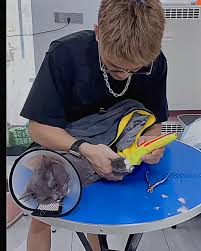 Cat Gets Crazy at the Groomer