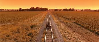 Film Culture December 2011 Brother Where Art Thou Movie Shots Cinematography