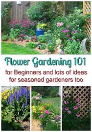Flower Gardening 101 Gingham Gardens Flower Gardening 101 Beautiful Flowers Garden Gardening For Beginners