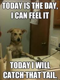 See more ideas about its friday quotes, weekday quotes, good morning quotes. Animals With Quotes About Tuesday Quotesgram