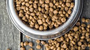 These owners even request their vets to suggest a different diet. Blue Buffalo Vs Science Diet Comparing Two Dog Food Titans