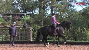 Carl hester and charlotte dujardin work their magic in this 15 minute masterclass where we get a sneak peak into their training. Charlotte Dujardin Valegro Youtube