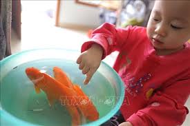 Nếu thờ 3 chiếc là thờ đủ mũ cho ba vị thần còn nếu thờ 1 mũ thì đó là mũ thổ công. 0fol9cxzi5ptbm