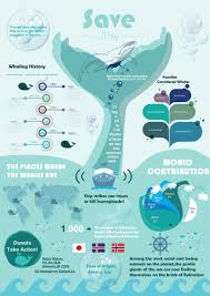 Showcase And Discover Creative Work On The World 39 S Leading Online Platform For Creative In Graphic Design Infographic Infographic Layout Infographic Poster