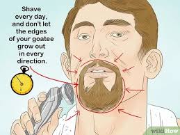 The exact nature of the style has varied according to time and culture. How To Grow A Goatee 13 Steps With Pictures Wikihow