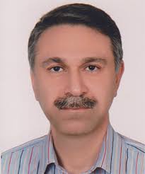 Coupled CFD-DEM Modeling: Formulation, Implementation and Application to  Multiphase Flows