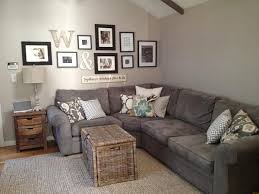 75 charming gray living room photos