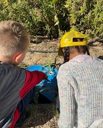 Boise Urban Garden School (@boiseurbangardenschool) • Foto dan video  Instagram