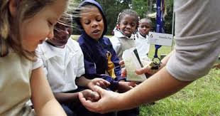 Amanda Fox: Hero to kids