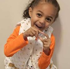 Porter Beach Pass Application Issues