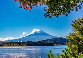 Things To Do In Tokyo Japan Hisgo Japan