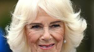 The latest queen camilla faces necklace backlash news, videos & comments