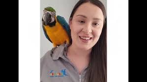 Ebony Holman's Instagram, Twitter & Facebook