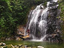 Desde su creación, el 11 de mayo del año 1937, el parque nacional lanín resguarda y protege una importante porción de bosque andinopatagónico, siendo por otra parte el responsable de garantizar la prestación de servicios turísticos y la atención del visitante. Lo Mejor De Veraguas Parque Nacional Santa Fe Veraguas By Lesterj2204 Facebook
