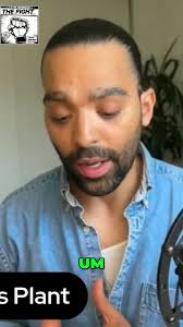 Sergio Vicente (@sergvicente) • Instagram photos and videos