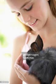 205 Angora Rabbits Stock Photos, High-Res Pictures, and Images